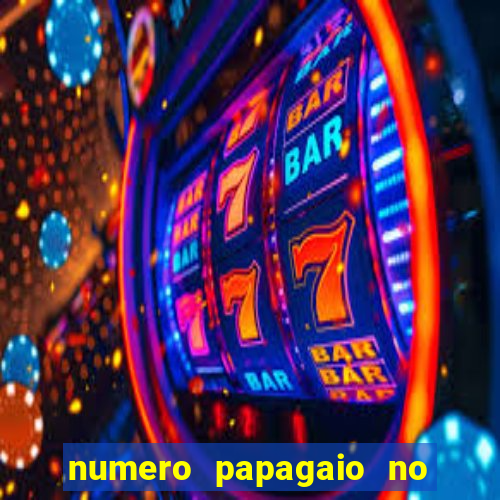 numero papagaio no jogo do bicho